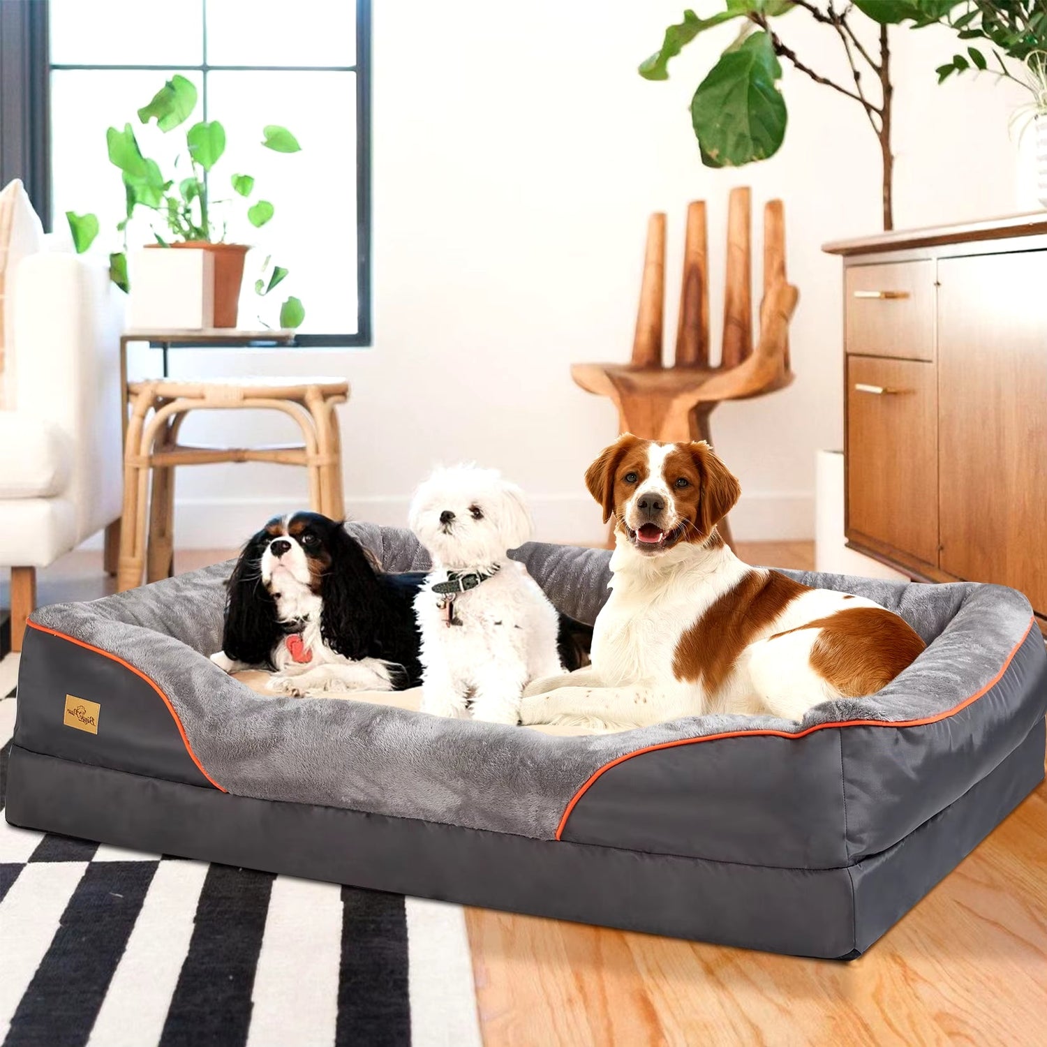 pet  bed